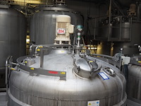 Holvrieka-nirota - afbeelding 1 van  8