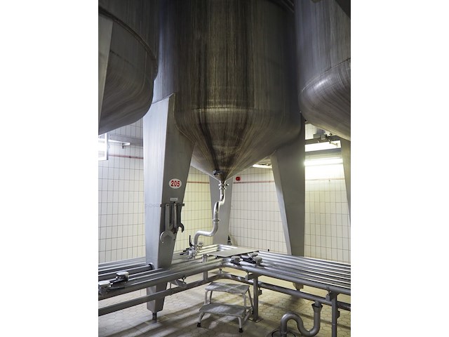 Holvrieka-nirota - afbeelding 6 van  8