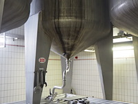 Holvrieka-nirota - afbeelding 6 van  8