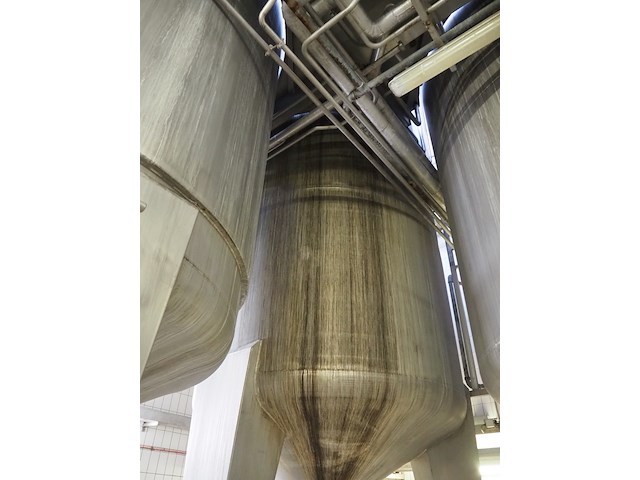 Holvrieka-nirota - afbeelding 7 van  8