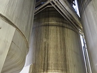 Holvrieka-nirota - afbeelding 7 van  8