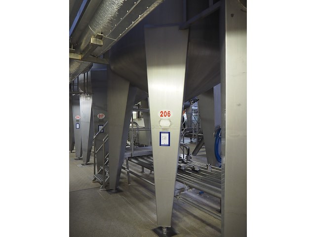 Holvrieka-nirota - afbeelding 4 van  8