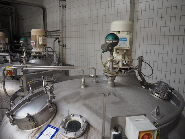 Holvrieka-nirota - afbeelding 3 van  7