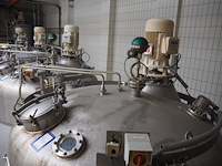 Holvrieka-nirota - afbeelding 3 van  7