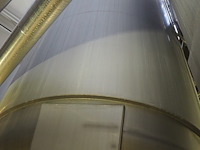 Holvrieka-nirota - afbeelding 5 van  7