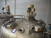 Holvrieka-nirota - afbeelding 3 van  7