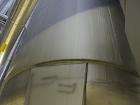 Holvrieka-nirota - afbeelding 5 van  7