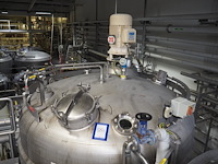 Holvrieka-nirota - afbeelding 3 van  7