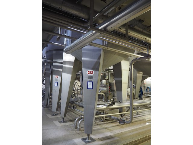 Holvrieka-nirota - afbeelding 4 van  7