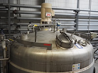 Holvrieka-nirota - afbeelding 1 van  7