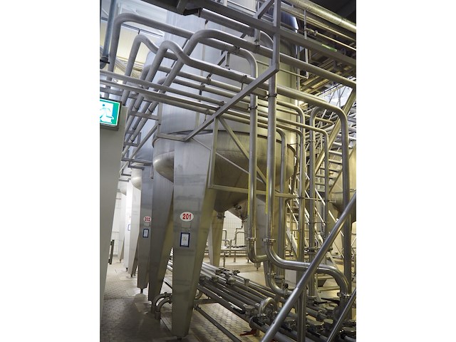 Holvrieka-nirota - afbeelding 4 van  7