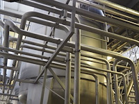 Holvrieka-nirota - afbeelding 5 van  7