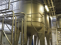 Holvrieka-nirota - afbeelding 6 van  7