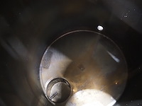 Holvrieka - afbeelding 5 van  8