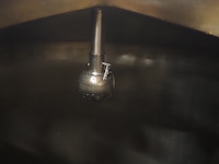 Holvrieka - afbeelding 6 van  8