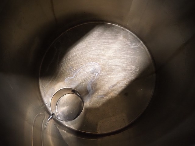 Holvrieka - afbeelding 5 van  9