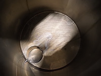 Holvrieka - afbeelding 5 van  9