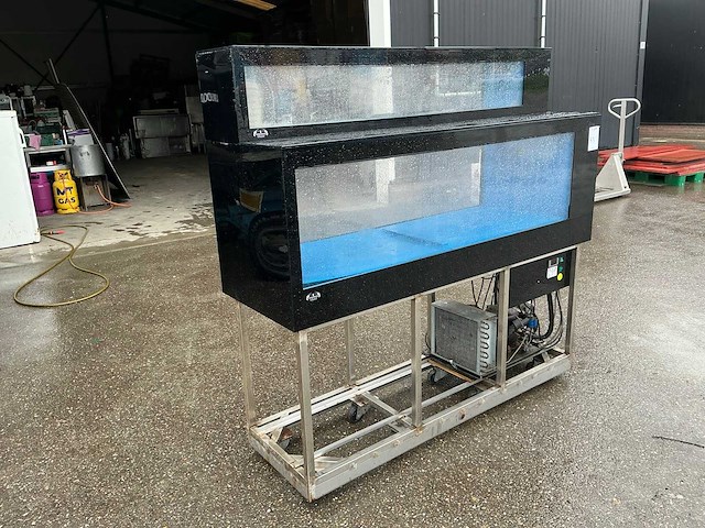 Homarium kreeften aquarium - afbeelding 1 van  10