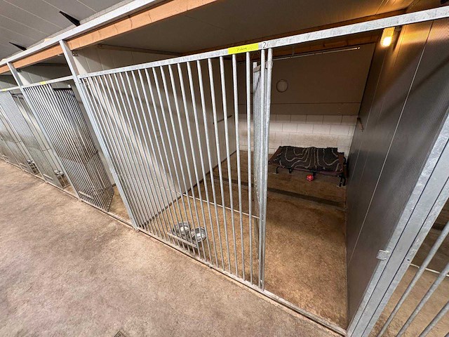 Honden kennel (23x) - afbeelding 3 van  13