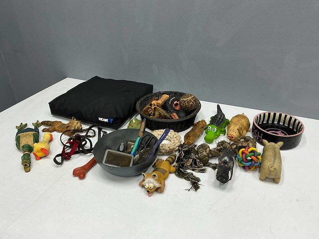 Hondenaccessoires - afbeelding 1 van  8