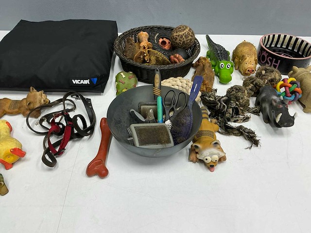 Hondenaccessoires - afbeelding 7 van  8