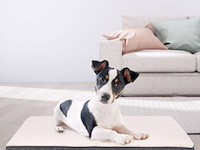 Hondenbed milow grijs - afbeelding 6 van  13