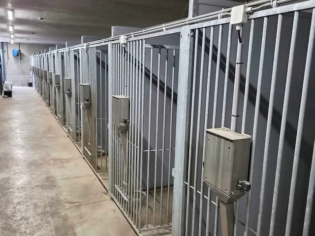 Hondenkennels (28x) - afbeelding 2 van  7