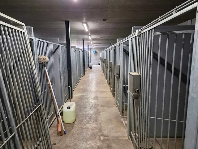 Hondenkennels (28x) - afbeelding 5 van  7