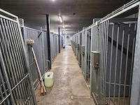 Hondenkennels (28x) - afbeelding 5 van  7