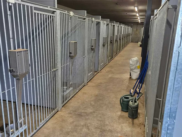 Hondenkennels (28x) - afbeelding 3 van  4