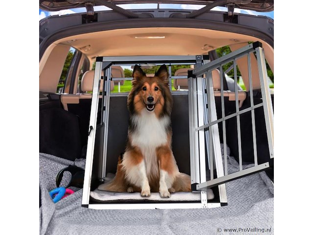 Hondentransportbox - afbeelding 2 van  7