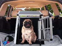 Hondentransportbox - afbeelding 2 van  8