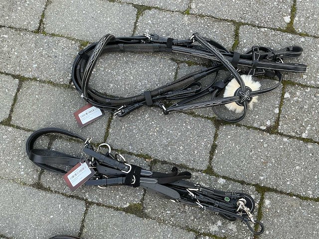 Hoofdstel + martingaal paarden - afbeelding 4 van  4