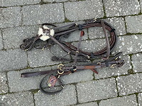 Hoofdstel + martingaal paarden - afbeelding 1 van  4