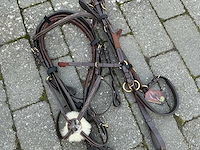 Hoofdstel + martingaal paarden - afbeelding 2 van  4