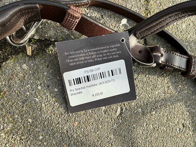 Hoofdstel paarden - afbeelding 2 van  4