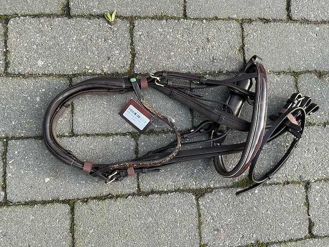 Hoofdstel paarden - afbeelding 1 van  4