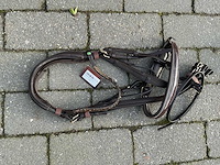 Hoofdstel paarden - afbeelding 1 van  4