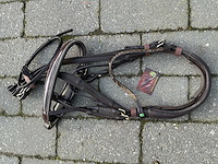 Hoofdstel paarden - afbeelding 4 van  4