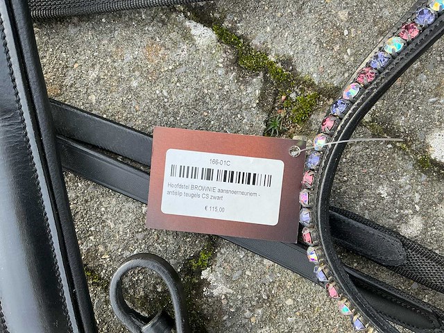 Hoofdstel paarden - afbeelding 4 van  5