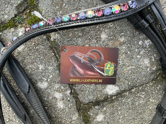 Hoofdstel paarden - afbeelding 5 van  5