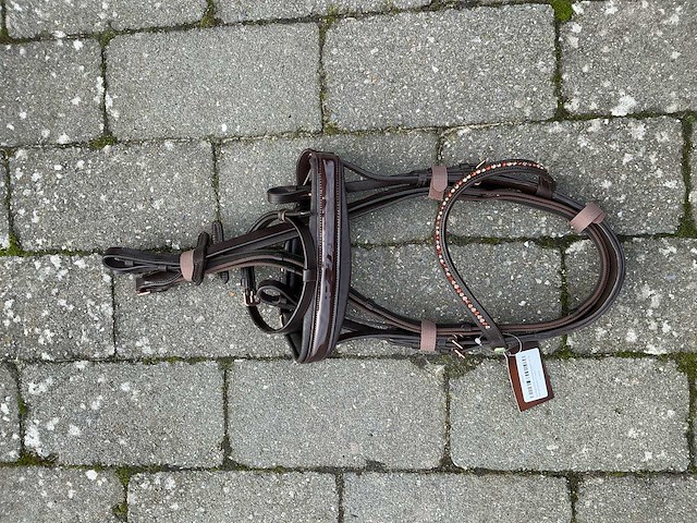 Hoofdstel paarden - afbeelding 1 van  4