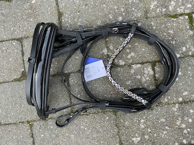 Hoofdstel paarden - afbeelding 1 van  3