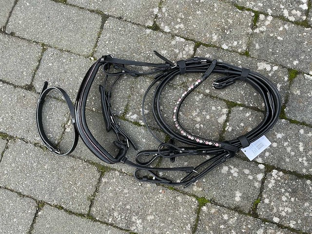 Hoofdstel paarden - afbeelding 1 van  5