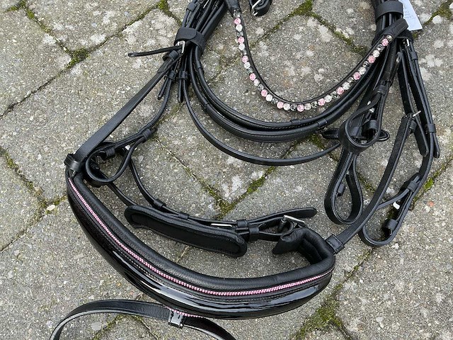 Hoofdstel paarden - afbeelding 2 van  5