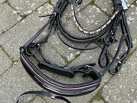 Hoofdstel paarden - afbeelding 2 van  5