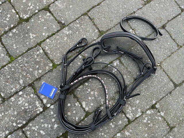 Hoofdstel paarden - afbeelding 5 van  5