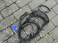 Hoofdstel paarden - afbeelding 5 van  5