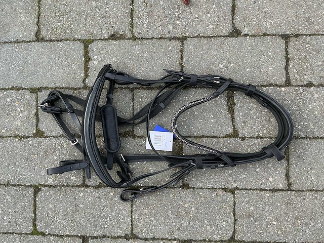 Hoofdstel paarden - afbeelding 1 van  4