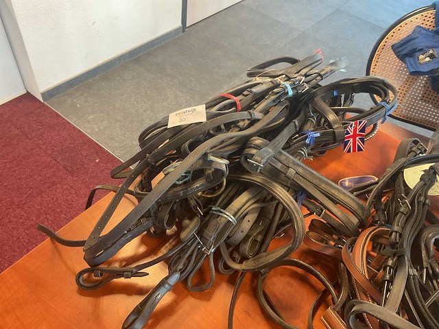 Hoofdstellen (5x) - afbeelding 4 van  4